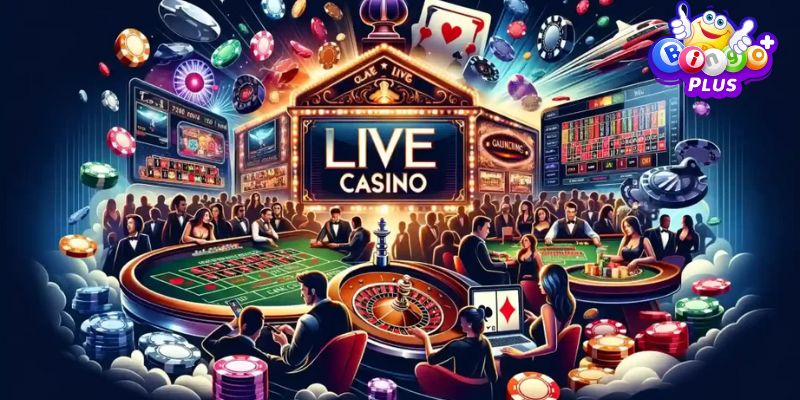 livecasino-bingo2