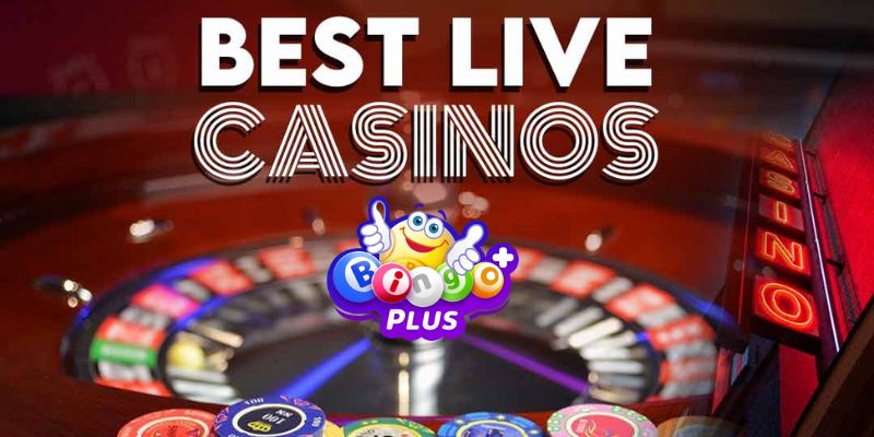 livecasino-bingo3